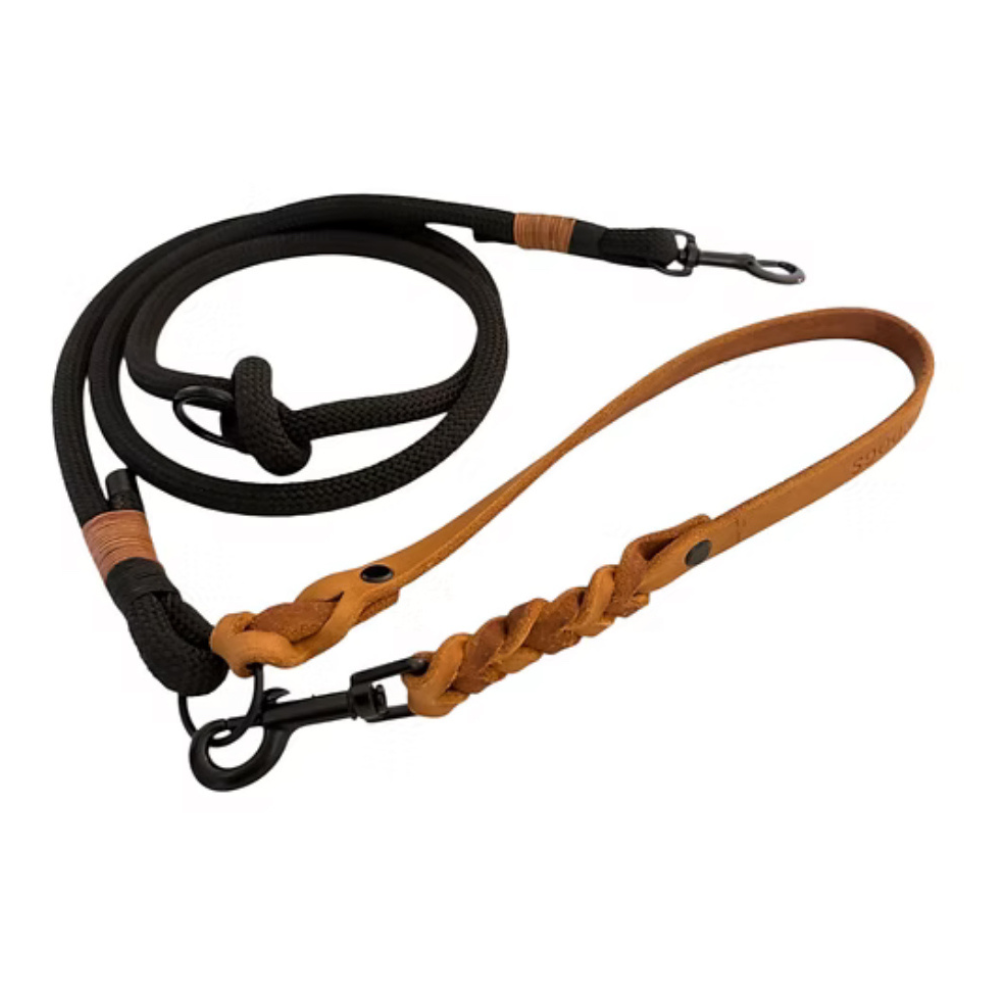 Set | Tauleine mit Lederhandschlaufe 'Raven' & breitem Lederhalsband
