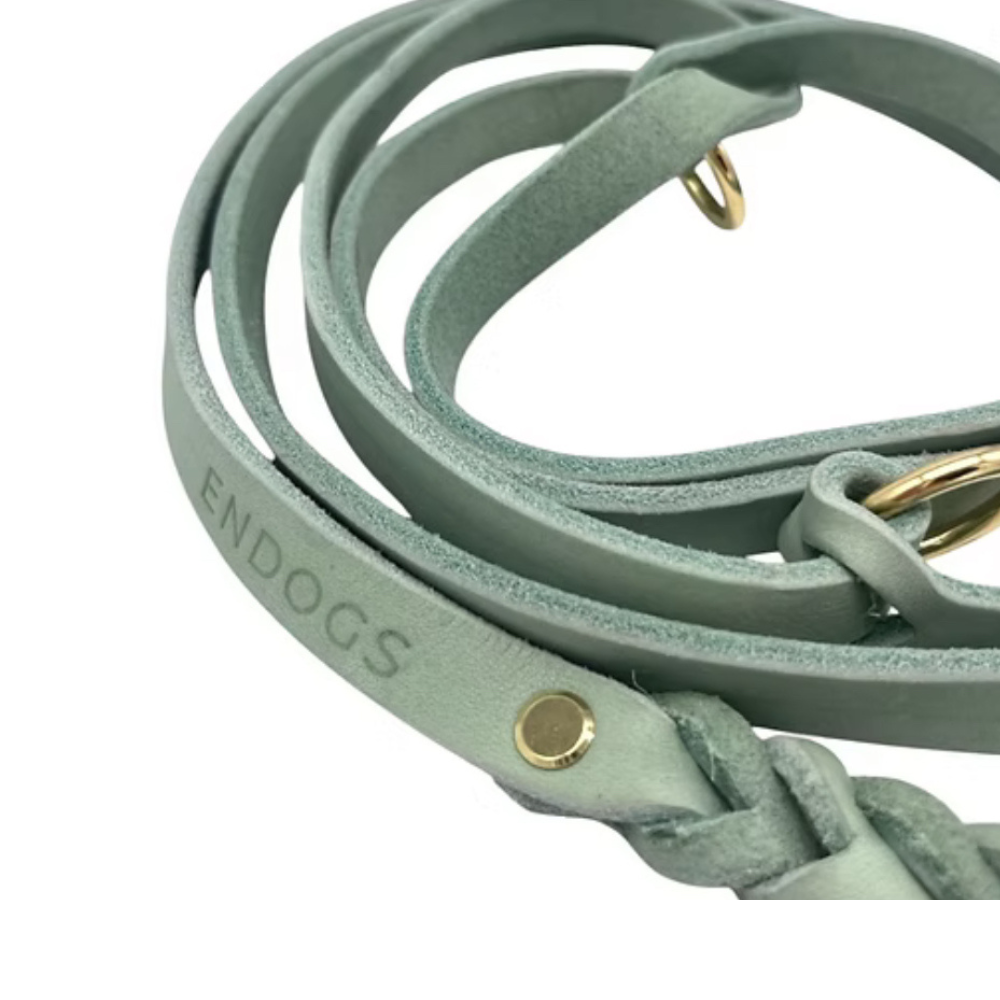 Lederleine | Mint