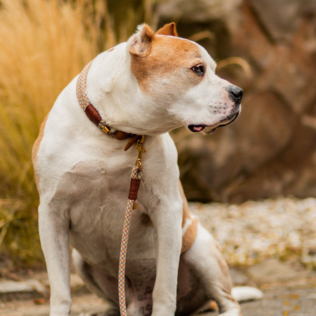 Tauleine mit Lederhandschlaufe 'Confetti'