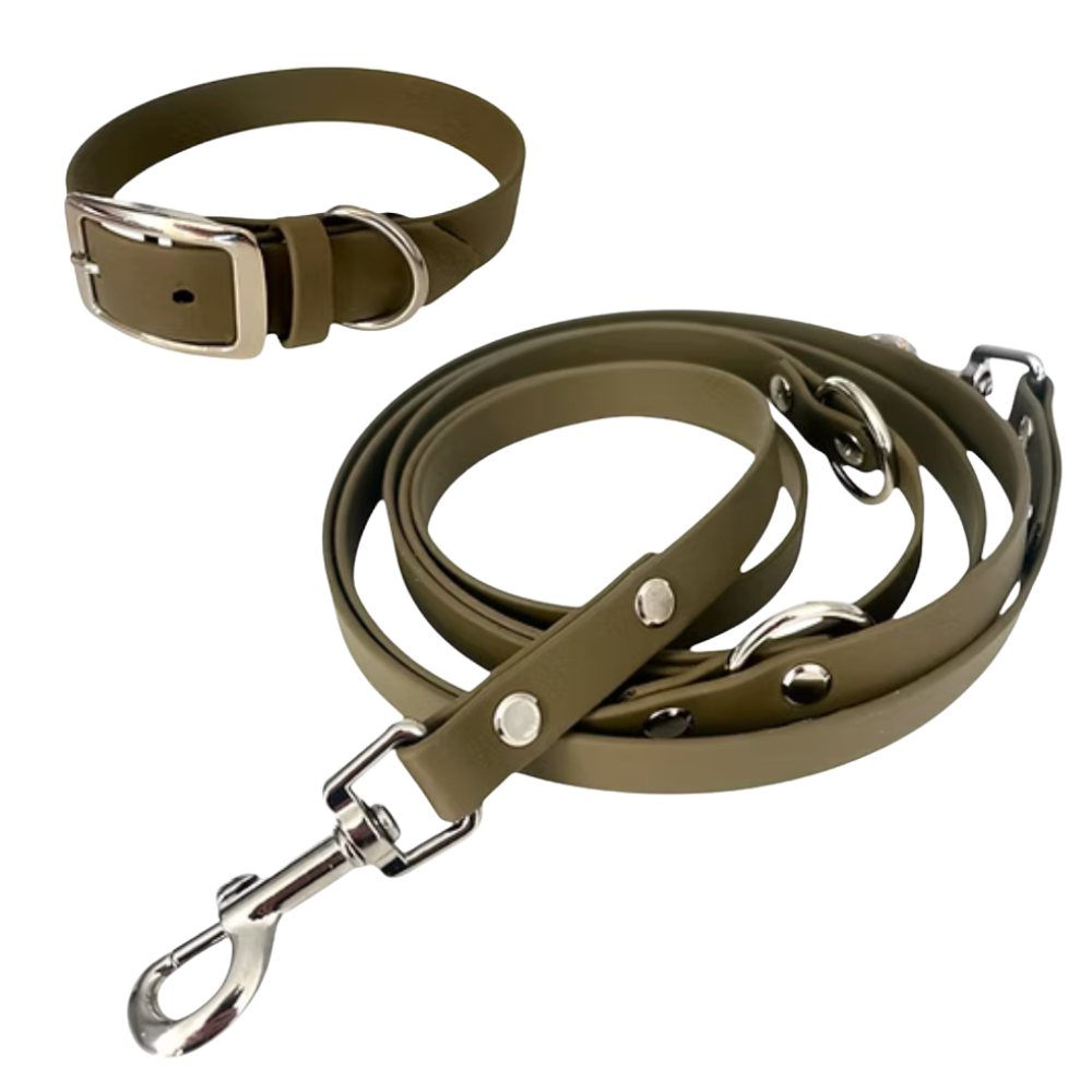 Set | Halsband & Hundeleine aus Biothane® 'Oliv'