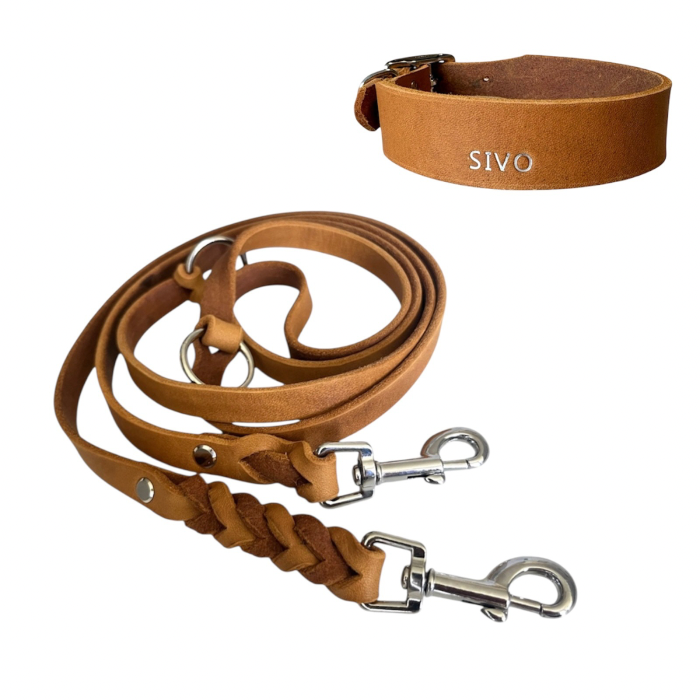 Set | Halsband & Leine aus Fettleder