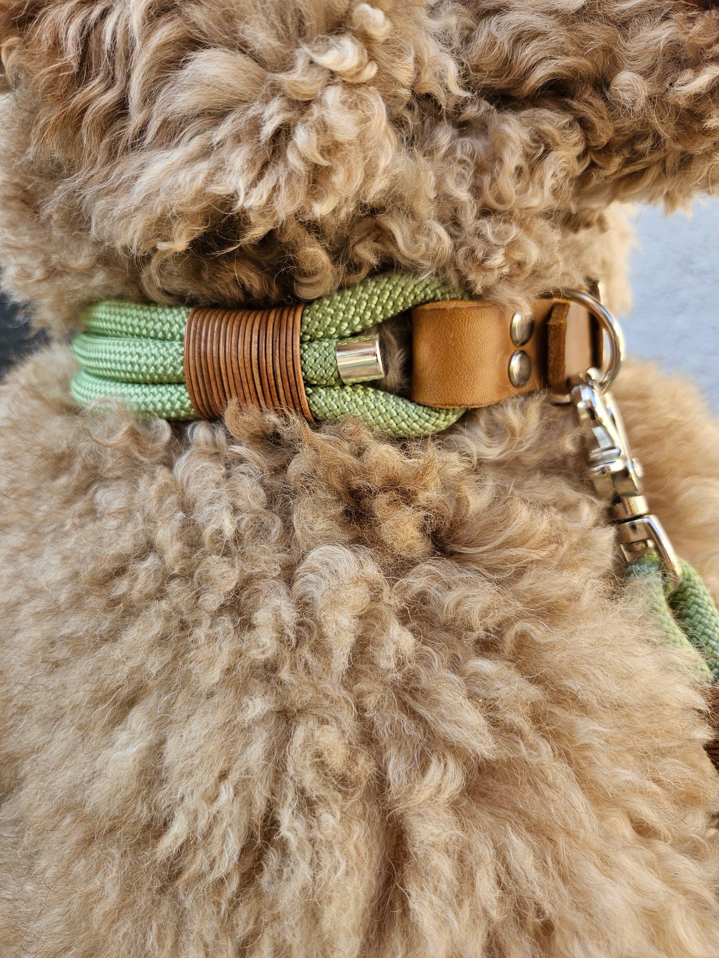 Set | Halsband & Leine 'Elva'
