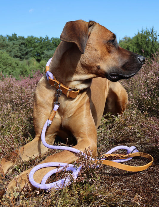 Tauleine mit Lederhandschlaufe 'Ophelia'