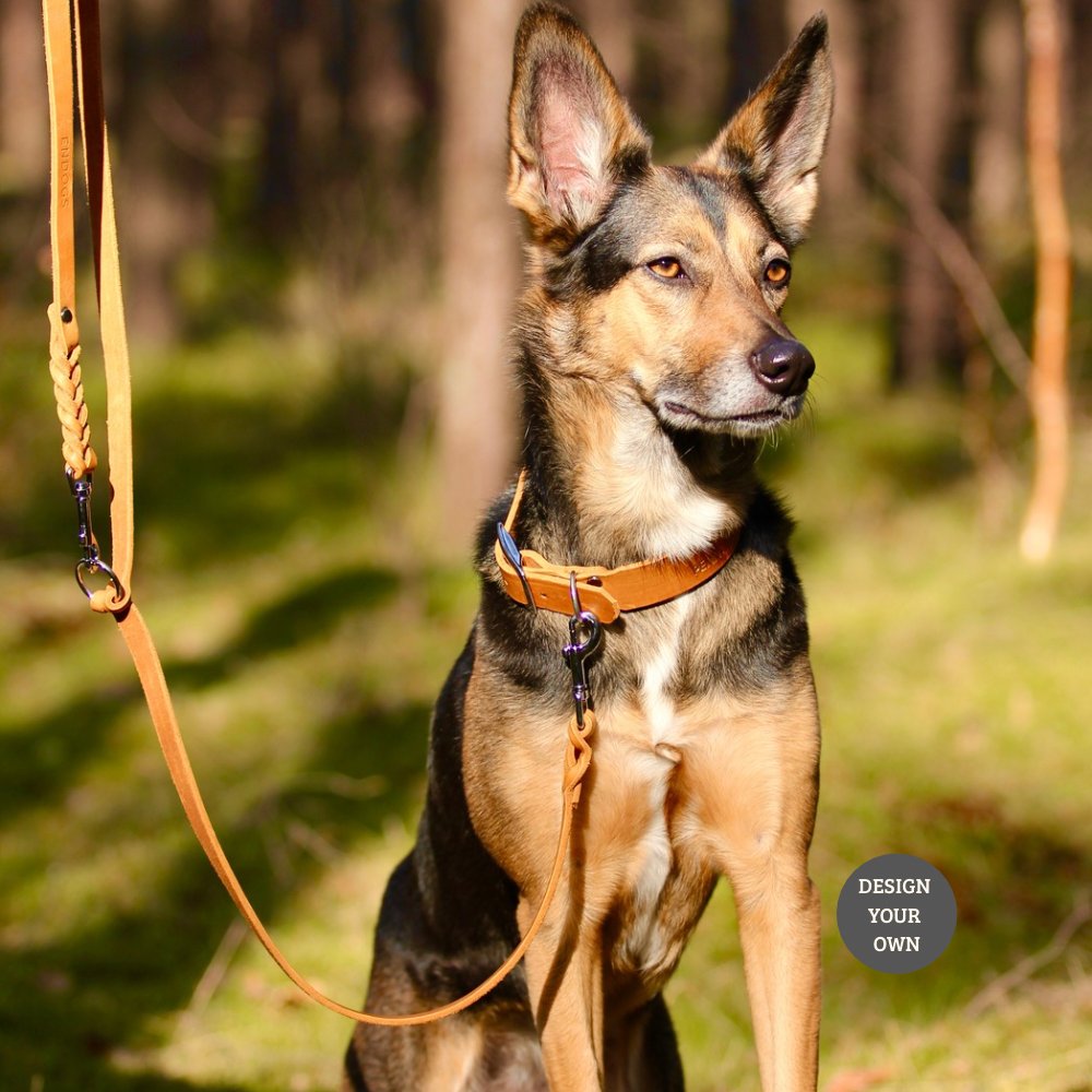 Konfigurator | Lederleine