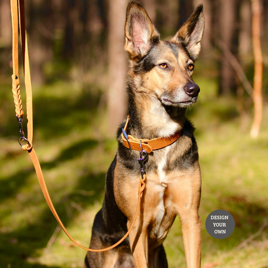 Konfigurator | Lederleine