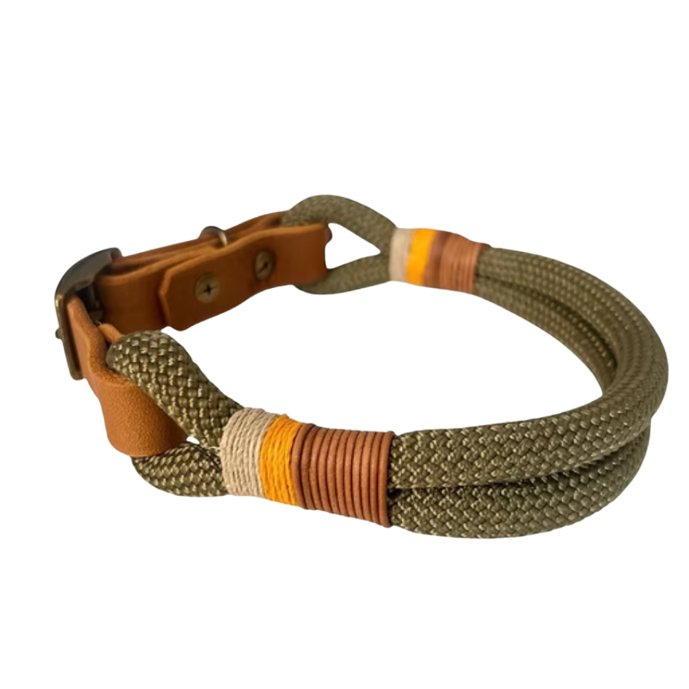 Set | Halsband & Leine 'Fjord'
