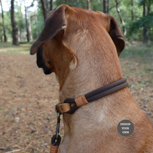 Konfigurator | Tauhalsband 2-fach