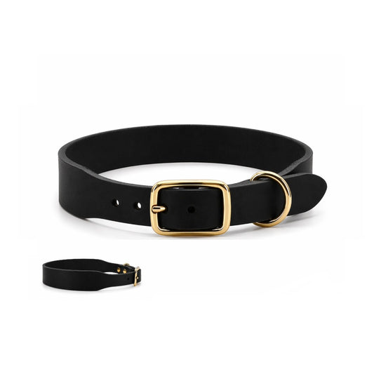 Breites Lederhalsband | schwarz