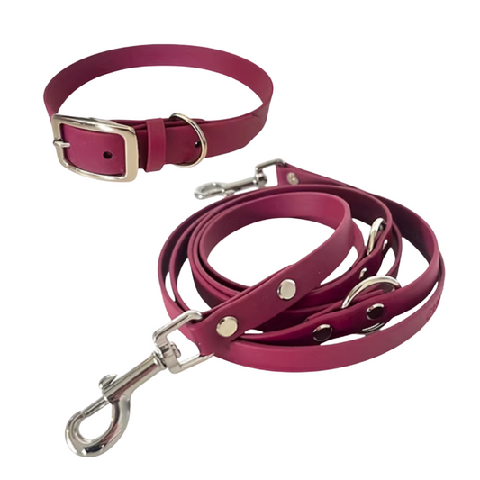 Set | Halsband & Hundeleine aus Biothane® 'Weinrot'