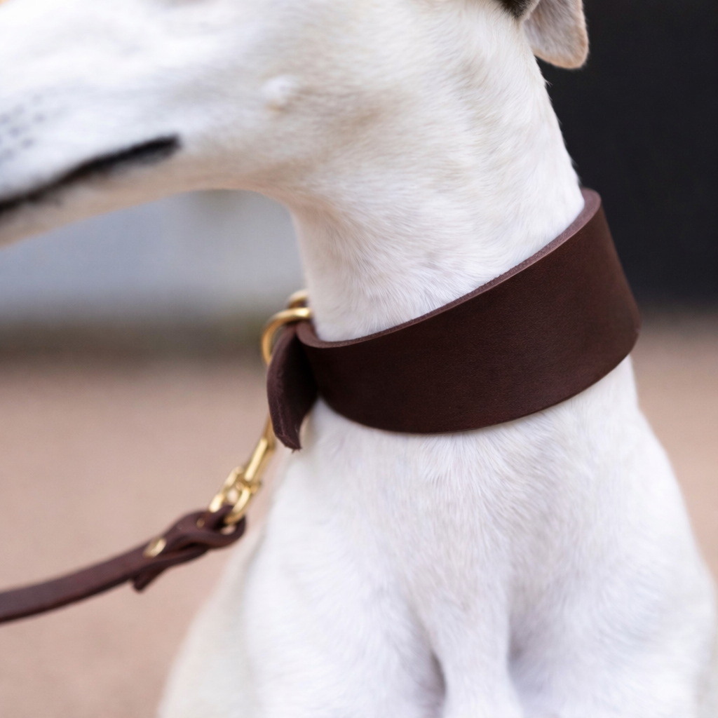 Konfigurator | Windhund Lederhalsband