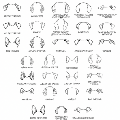 Dog Ears Hoodie – personalisiert