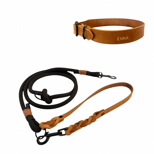 Set | Tauleine mit Lederhandschlaufe 'Raven' & breitem Lederhalsband