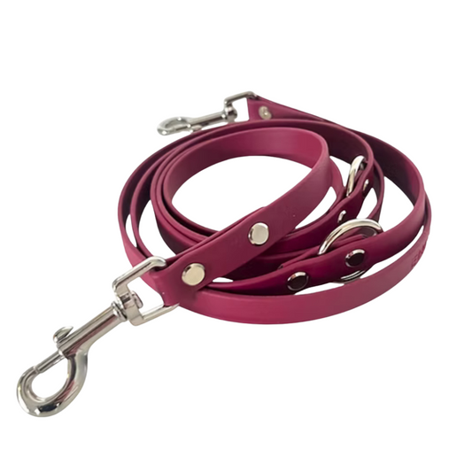 Set | Halsband & Hundeleine aus Biothane® 'Weinrot'