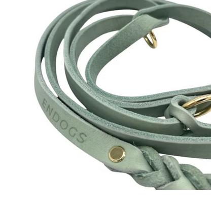 Lederleine  | Mint