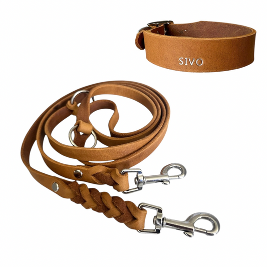Set | Halsband & Leine aus Fettleder
