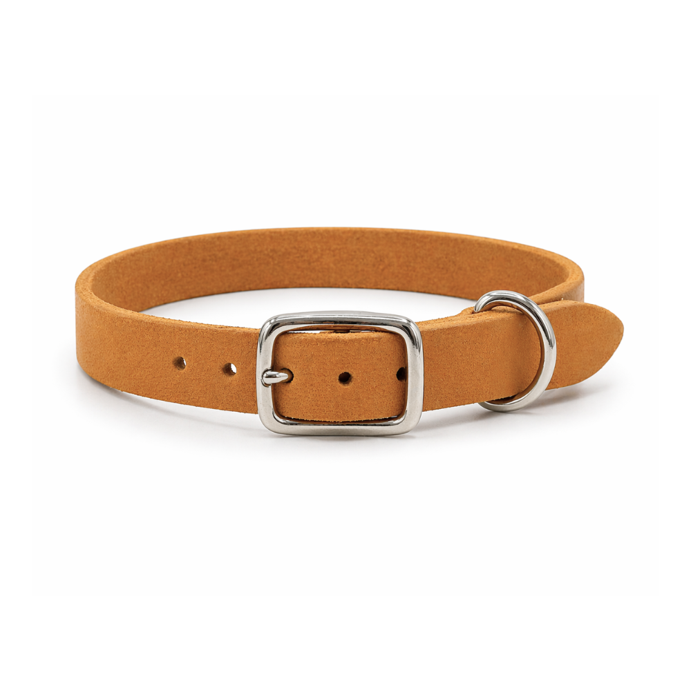 Personalisierbares schmales Halsband aus Fettleder | cognac