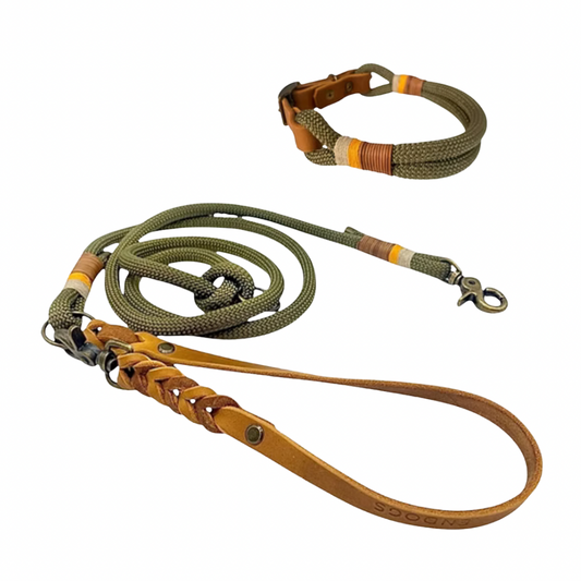 Set | Halsband & Leine 'Fjord'