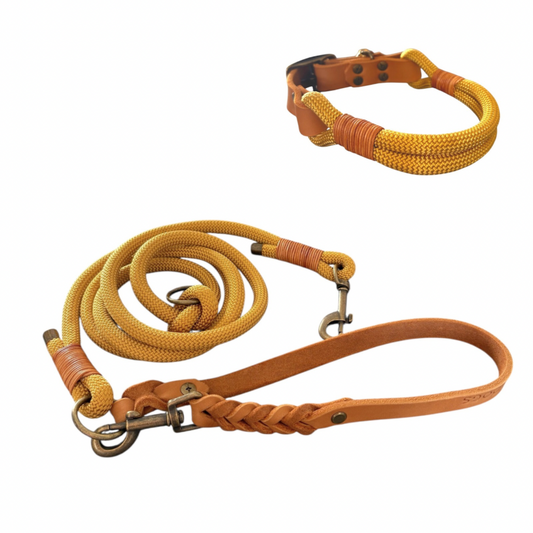Set | Halsband & Leine 'Lyra'