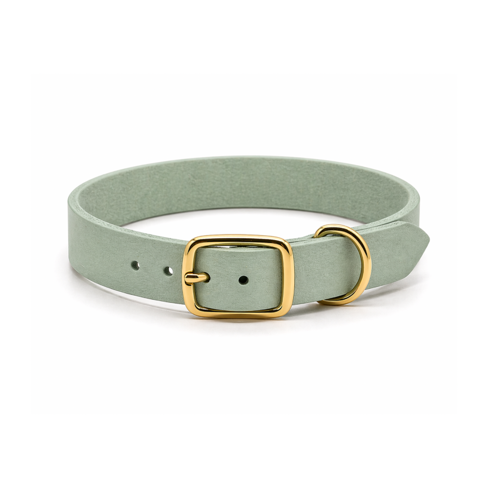 Personalisierbares schmales Halsband aus Fettleder | mint