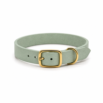 Personalisierbares schmales Halsband aus Fettleder | mint