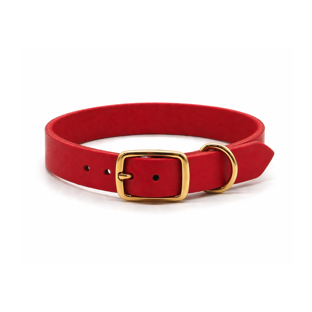 Personalisierbares schmales Halsband aus Fettleder | rot