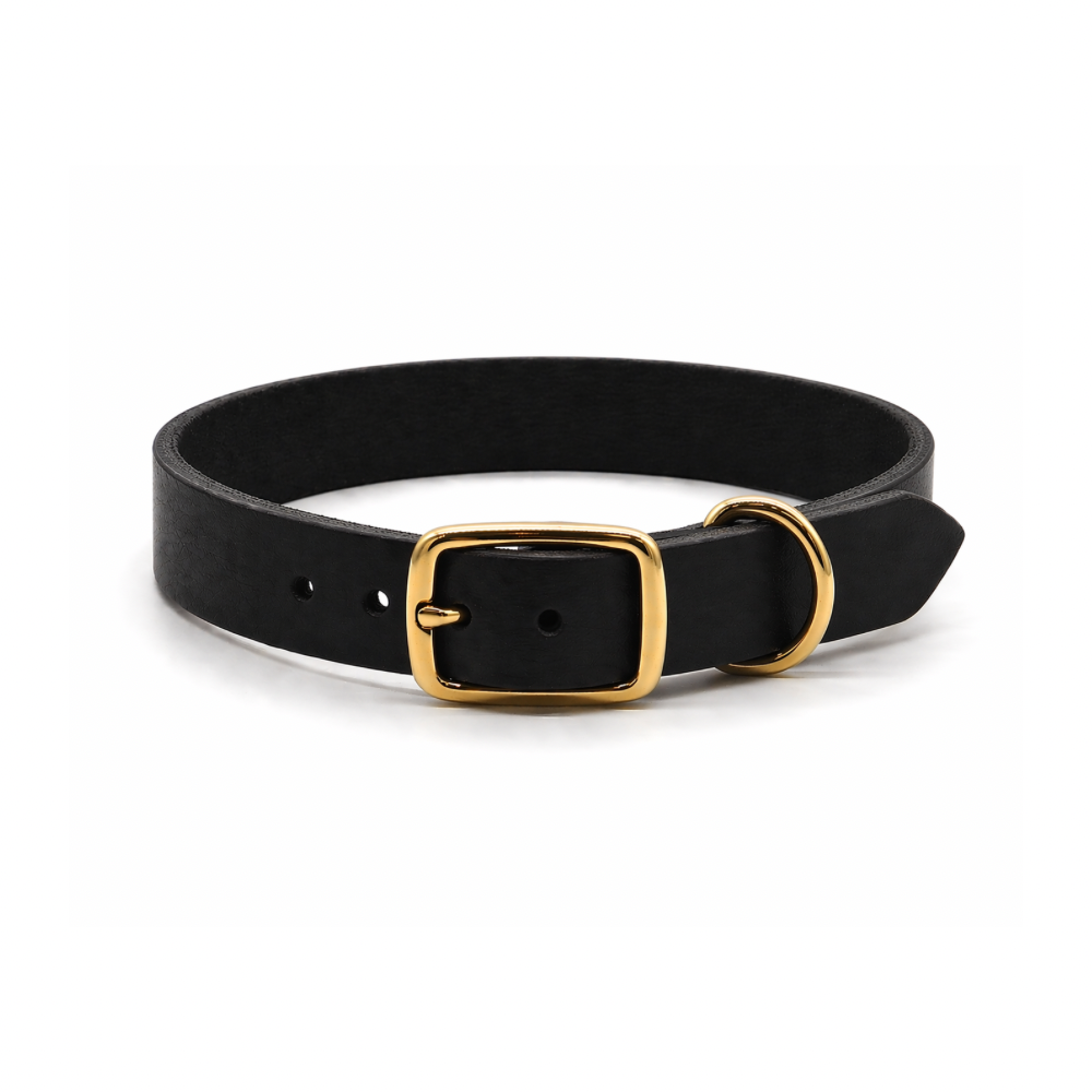 Personalisierbares schmales Halsband aus Fettleder | schwarz