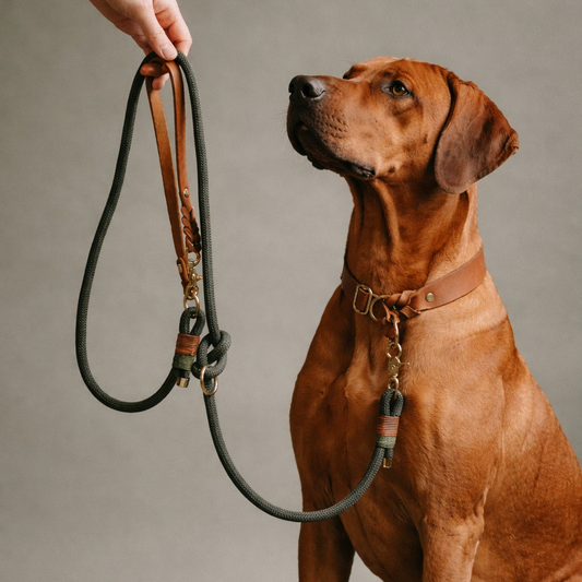 Konfigurator  | Tauleine