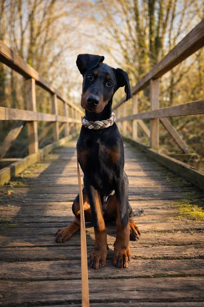 Geflochtenes Halsband - tan | sahne | braun